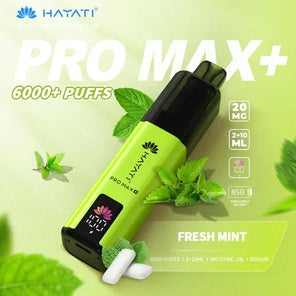 Hayati Pro Max Plus 6000+ | Single Bar