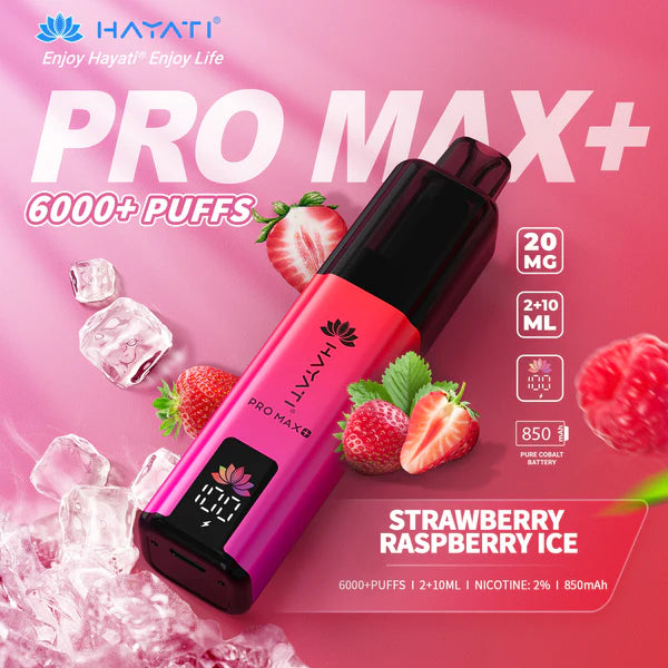 Hayati Pro Max Plus 6000+ | Single Bar